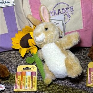 Trader Joe’s Easter Basket Tote Bags Gifts Lot Set